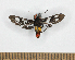 ( - MBe0530)  @11 [ ] Unspecified (default): All Rights Reserved  Unspecified Unspecified