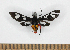  ( - MBe0531)  @11 [ ] Unspecified (default): All Rights Reserved  Unspecified Unspecified