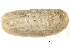  ( - BIOUG14666-C07)  @11 [ ] CreativeCommons - Attribution (2014) CBG Photography Group Centre for Biodiversity Genomics