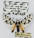  ( - MILA 0010)  @13 [ ] Copyright (2010) Unspecified Research Collection of Michel Laguerre