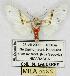  ( - MILA 0055)  @14 [ ] Copyright (2010) Unspecified Research Collection of Michel Laguerre