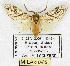  ( - MILA 0068)  @13 [ ] Copyright (2010) Unspecified Research Collection of Michel Laguerre