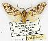  ( - MILA 0069)  @13 [ ] Copyright (2010) Unspecified Research Collection of Michel Laguerre