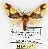 ( - MILA 0093)  @15 [ ] Copyright (2010) Unspecified Research Collection of Michel Laguerre