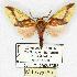  ( - MILA 0094)  @14 [ ] Copyright (2010) Unspecified Research Collection of Michel Laguerre