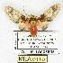  ( - MILA 0110)  @13 [ ] Copyright (2010) Unspecified Research Collection of Michel Laguerre