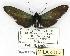  ( - MILA 0114)  @13 [ ] Copyright (2010) Unspecified Research Collection of Michel Laguerre