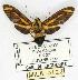  ( - MILA 0128)  @13 [ ] Copyright (2010) Unspecified Research Collection of Michel Laguerre