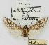  ( - MILA 0179)  @13 [ ] Copyright (2010) Unspecified Research Collection of Michel Laguerre
