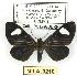  ( - MILA 0210)  @14 [ ] Copyright (2010) Unspecified Research Collection of Michel Laguerre