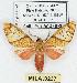  ( - MILA 0237)  @14 [ ] Copyright (2010) Unspecified Research Collection of Michel Laguerre