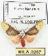  ( - MILA 0257)  @14 [ ] Copyright (2010) Unspecified Research Collection of Michel Laguerre