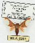  ( - MILA 0261)  @13 [ ] Copyright (2010) Unspecified Research Collection of Michel Laguerre