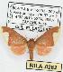  ( - MILA 0262)  @13 [ ] Copyright (2010) Unspecified Research Collection of Michel Laguerre