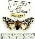  ( - MILA 0295)  @13 [ ] Copyright (2010) Unspecified Research Collection of Michel Laguerre