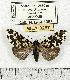  ( - MILA 0297)  @13 [ ] Copyright (2010) Unspecified Research Collection of Michel Laguerre