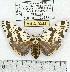  ( - MILA 0344)  @13 [ ] Copyright (2010) Unspecified Research Collection of Michel Laguerre