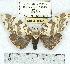  ( - MILA 0345)  @13 [ ] Copyright (2010) Unspecified Research Collection of Michel Laguerre