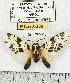 ( - MILA 0359)  @13 [ ] Copyright (2010) Unspecified Research Collection of Michel Laguerre