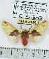  ( - MILA 0386)  @13 [ ] Copyright (2010) Unspecified Research Collection of Michel Laguerre
