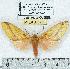  ( - MILA 0390)  @14 [ ] Copyright (2010) Unspecified Research Collection of Michel Laguerre