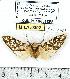  ( - MILA 0392)  @13 [ ] Copyright (2010) Unspecified Research Collection of Michel Laguerre