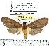  ( - MILA 0399)  @14 [ ] Copyright (2010) Unspecified Research Collection of Michel Laguerre