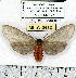  ( - MILA 0412)  @13 [ ] Copyright (2010) Unspecified Research Collection of Michel Laguerre