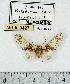  ( - MILA 0427)  @13 [ ] Copyright (2010) Unspecified Research Collection of Michel Laguerre