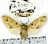  ( - MILA 0450)  @14 [ ] Copyright (2010) Unspecified Research Collection of Michel Laguerre