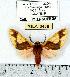  ( - MILA 0458)  @14 [ ] Copyright (2010) Unspecified Research Collection of Michel Laguerre