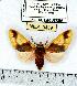  ( - MILA 0459)  @14 [ ] Copyright (2010) Unspecified Research Collection of Michel Laguerre