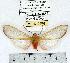  ( - MILA 0470)  @14 [ ] Copyright (2010) Unspecified Research Collection of Michel Laguerre