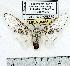  ( - MILA 0485)  @14 [ ] Copyright (2010) Unspecified Research Collection of Michel Laguerre