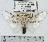  ( - MILA 0570)  @14 [ ] Copyright (2010) Unspecified Research Collection of Michel Laguerre