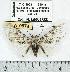  ( - MILA 0574)  @12 [ ] Copyright (2010) Unspecified Research Collection of Michel Laguerre