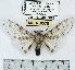  ( - MILA 0578)  @14 [ ] Copyright (2010) Unspecified Research Collection of Michel Laguerre