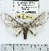  ( - MILA 0579)  @14 [ ] Copyright (2010) Unspecified Research Collection of Michel Laguerre