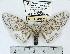  ( - MILA 0580)  @14 [ ] Copyright (2010) Unspecified Research Collection of Michel Laguerre