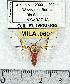  ( - MILA 0601)  @14 [ ] Copyright (2010) Unspecified Research Collection of Michel Laguerre