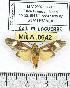  ( - MILA 0642)  @14 [ ] Copyright (2010) Unspecified Research Collection of Michel Laguerre