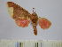  ( - BEVI0672)  @12 [ ] Copyright (2010) Unspecified Research Collection of Benoit Vincent
