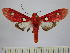  ( - BEVI0688)  @14 [ ] Copyright (2010) Unspecified Research Collection of Benoit Vincent