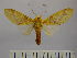  ( - BEVI0731)  @13 [ ] Copyright (2010) Unspecified Research Collection of Benoit Vincent