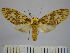  ( - BEVI0738)  @14 [ ] Copyright (2010) Unspecified Research Collection of Benoit Vincent