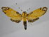  ( - BEVI0752)  @14 [ ] Copyright (2010) Unspecified Research Collection of Benoit Vincent