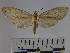  ( - BEVI0763)  @13 [ ] Copyright (2010) Unspecified Research Collection of Benoit Vincent