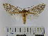  ( - BEVI0822)  @13 [ ] Copyright (2010) Unspecified Research Collection of Benoit Vincent