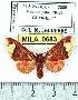  ( - MILA 0683)  @12 [ ] Copyright (2010) Unspecified Research Collection of Michel Laguerre