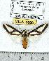  ( - MILA 0686)  @13 [ ] Copyright (2010) Unspecified Research Collection of Michel Laguerre